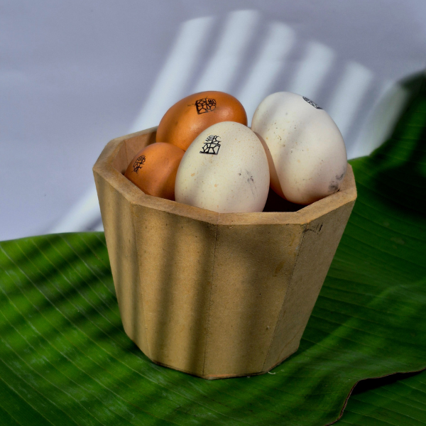 diseño sin título (20)