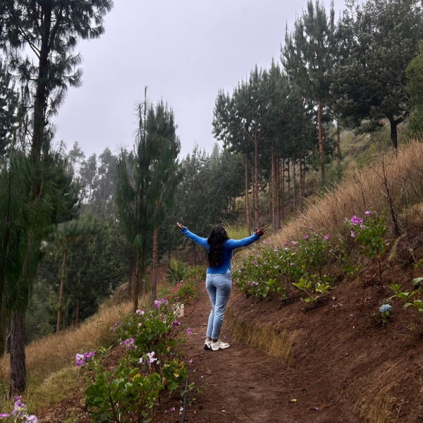 diseño sin título (24)